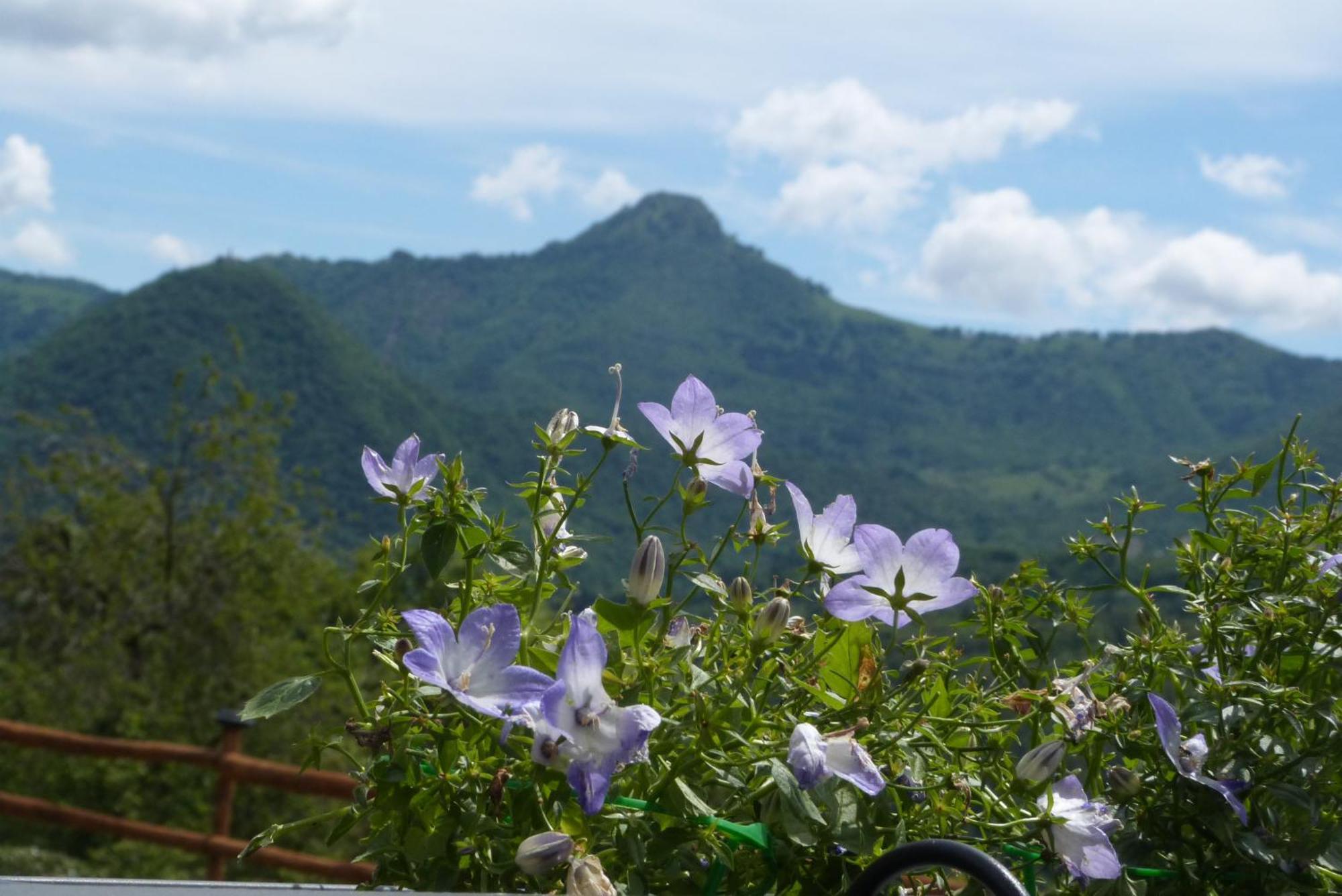 Giardino Tra I Laghi Bed & Breakfast San Fedele Intelvi Dış mekan fotoğraf